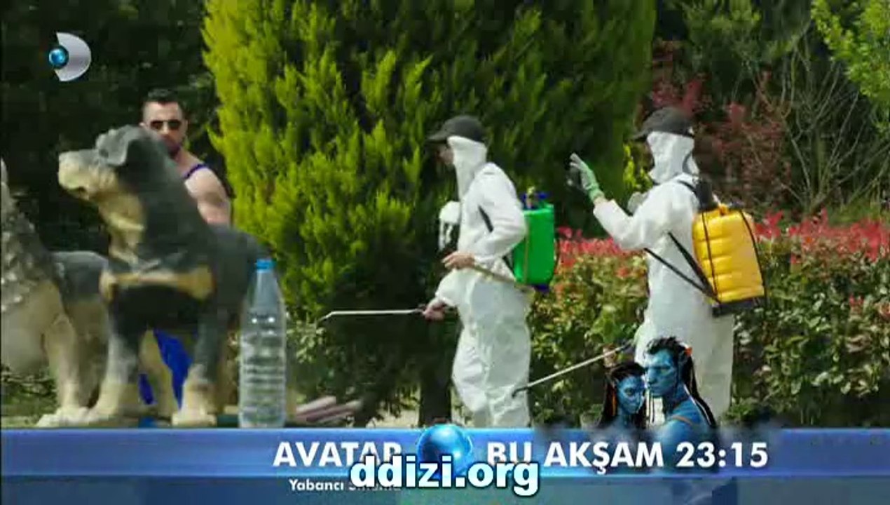 d3_HDTV