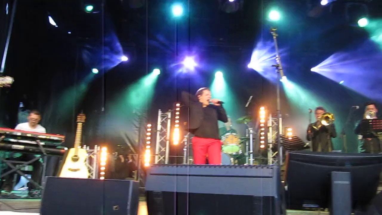 Bénabar - Concert à La Morte - 28.06.2014 - L'effet papillon (extrait)