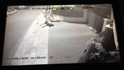 Mouscron: le drapeau belge de "La pelle des sens" arraché