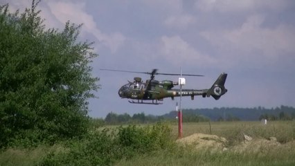 PHALSBOURG AIRSHOW 2014 TABLEAU DYNAMIQUE ALAT 2