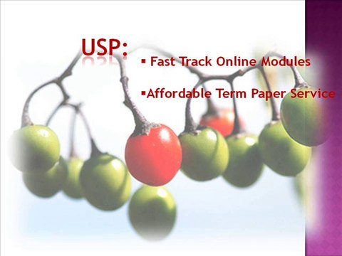 Custom Term Paper Writing