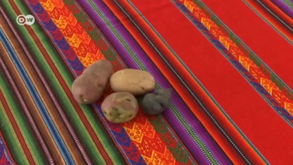 Perú: el verdadero oro de los Incas | Global 3000