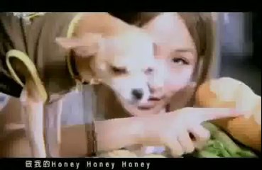 Elva Hsiao ~ Honey Honey
