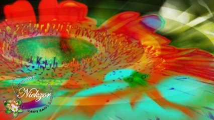 Koro - Bağa Vardım Nar İçin