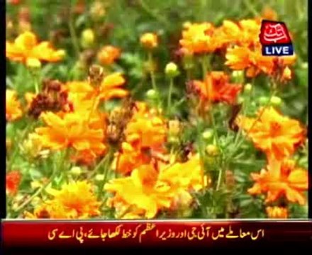 Rain turns weather pleasant in Lahore and karachi