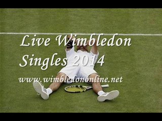 Watch Wimbledon 2014 men's Singles Quarterfinals Live