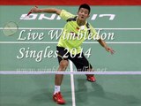 Watch Wimbledon 2014 men's Singles Quarterfinals Streaming