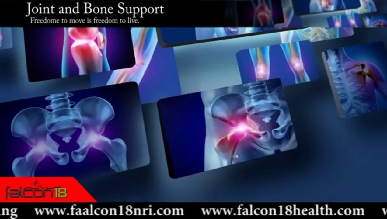 Joint and Bone Support