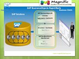 Sap BO Online training Classes In Pune,Newziland