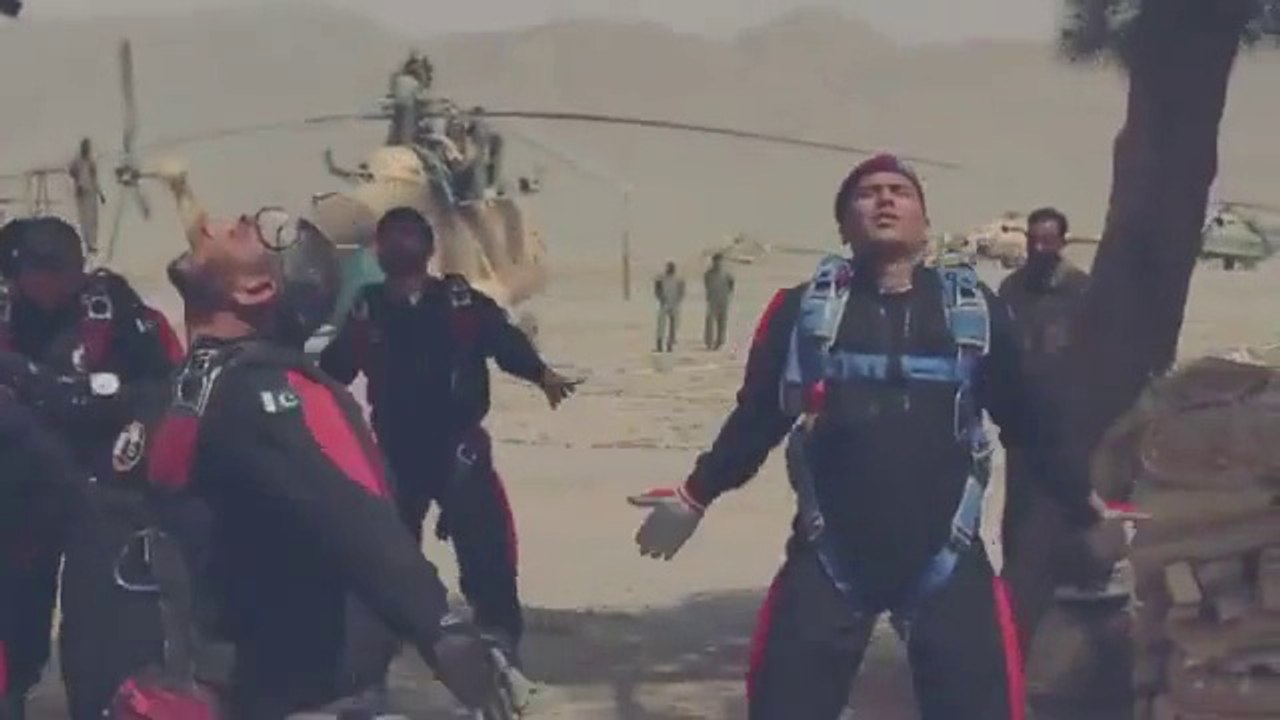 Pakistan Airforce 2014