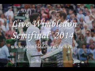 2014 Quarterfinals Wimbledon Tennis Online
