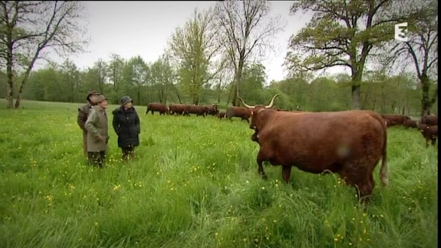 Goûtez voir : Belles des champs