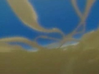 AMV bleach - bounce - thousand foot krut