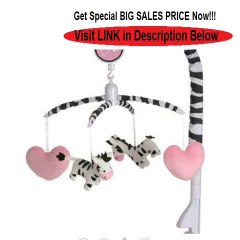 Discount Baby Boom Crib Mobile, I Luv Zebra Review
