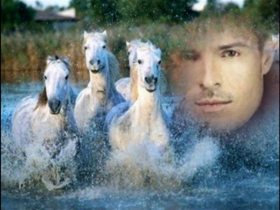 Vincent Niclo, photos-montage Cavaliers