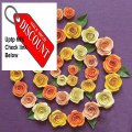 Best Deals Quilled Creations Spiral Roses Quilling Kit Orange/Peach/Yellow Review