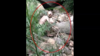 En Chine, on a retrouvé Gollum du Seigneur des Anneaux