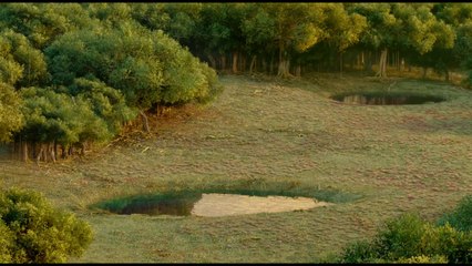 L'Odyssée de Pi - Bande annonce VF