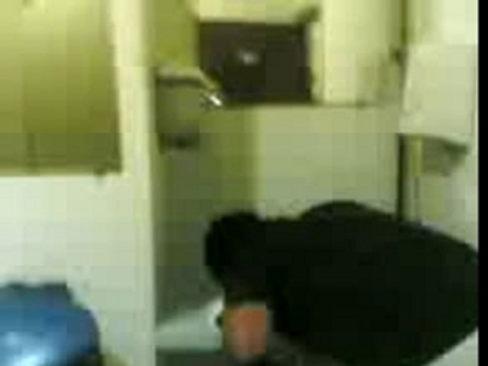 Paco qui boi