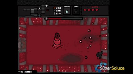 The Binding of Isaac : Scolex