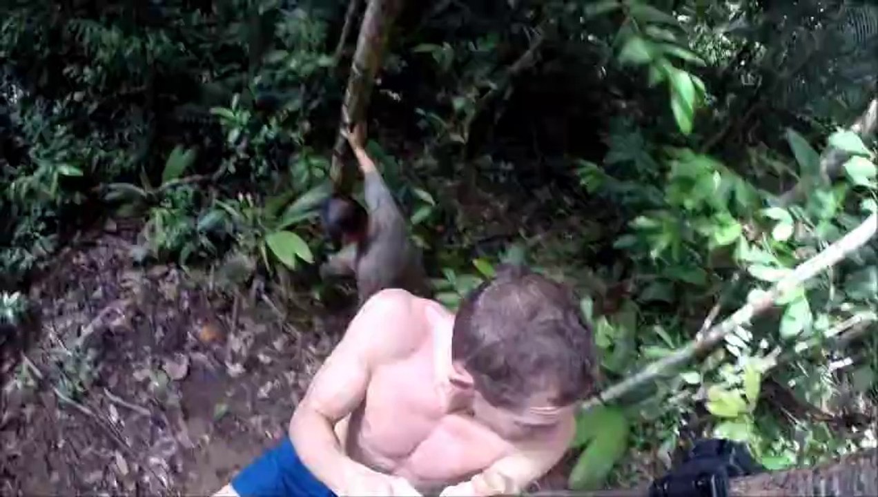 Sous les sunlights des tropiques