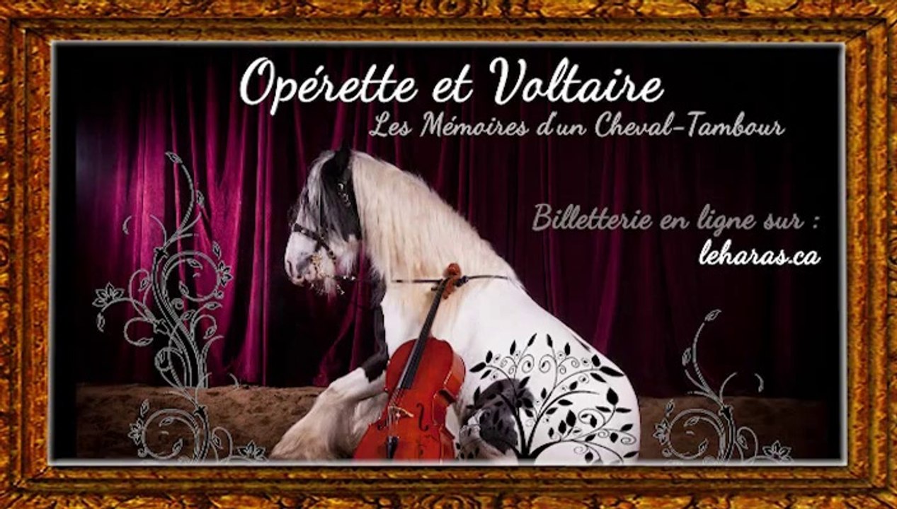 Operette et Voltaire, les mémoires d'un Cheval-tambour. Répétition des Opéras Équestres