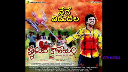 Interesting cover photos!!