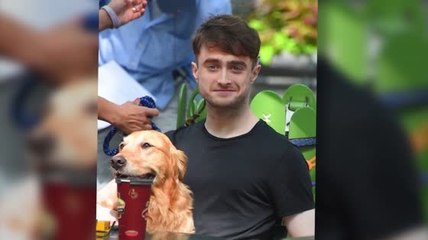 Quelle vie de chien pour Daniel Radcliffe pendant le tournage de son nouveau film