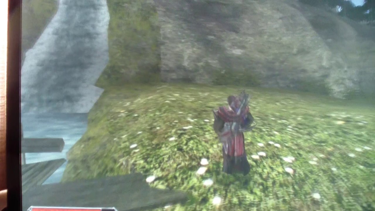 Wasserfall rauf schwimmen