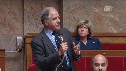 rappel au règlement suspension Baupin