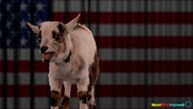 Goat Choir Sings The National Anthem