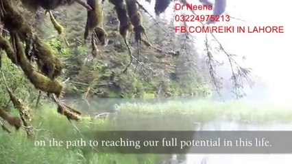 Reiki - Tree of Life