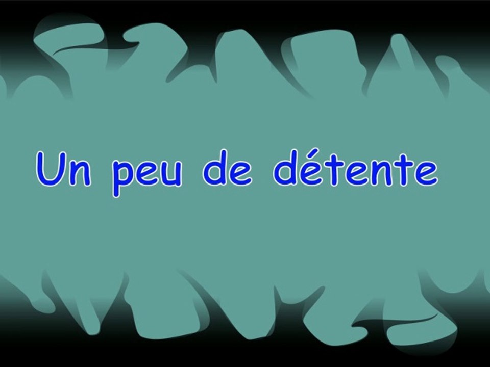 CHIENS DÉTENTE PROMENADE