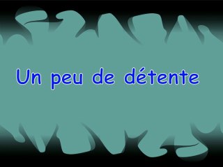 CHIENS DÉTENTE PROMENADE