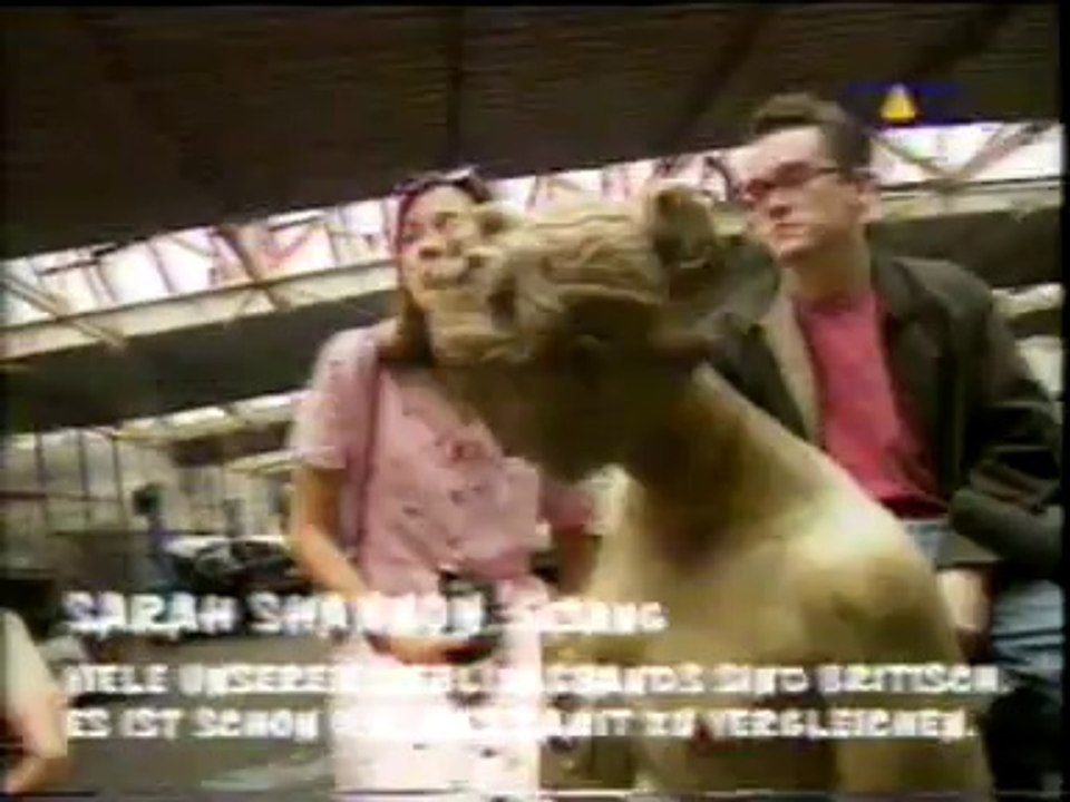 Sub Pop Special Part 2 - Viva WahWah 1994/1995 Afghan Whigs, Codeine, Seaweed, Sunny Day Real Estate