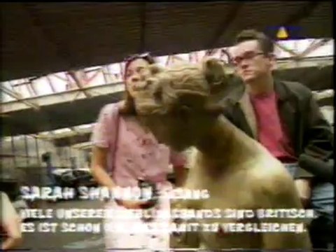 Sub Pop Special Part 2 - Viva WahWah 1994/1995 Afghan Whigs, Codeine, Seaweed, Sunny Day Real Estate