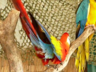 ALAMEDA COUNTY FAIR 2014. 07