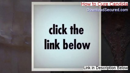How to Cure Candida Download Free - how to cure candida in dogs 2014