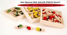 Best Deals Wooden Ladybug Craft Scrapbooking Clothespins- Box Set of 20 - Assorted Review