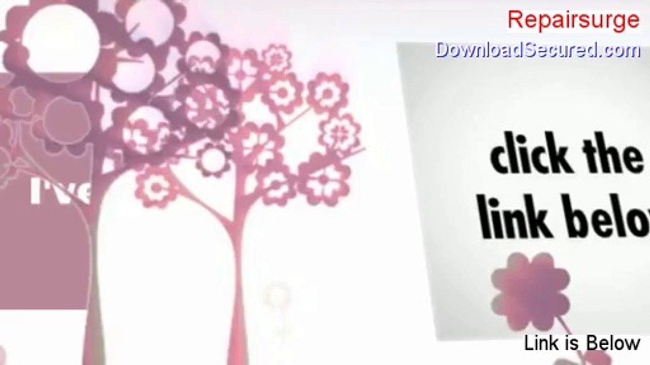 Repairsurge PDF [Instant Download]