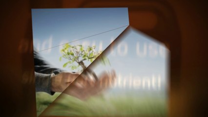 Best Hydroponic System for Gardening