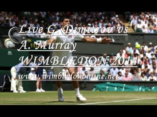Watch Murray vs Dimitrov Live Tennis Now