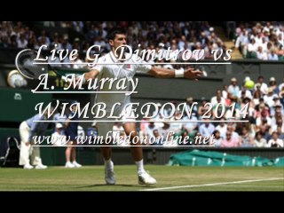 A. Murray vs G. Dimitrov Live Tennis