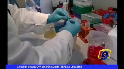 Dai lipidi una nuova via per combattere le leucemie