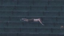 Crazy Fan swimming at Wrigley Field! Hilarious...