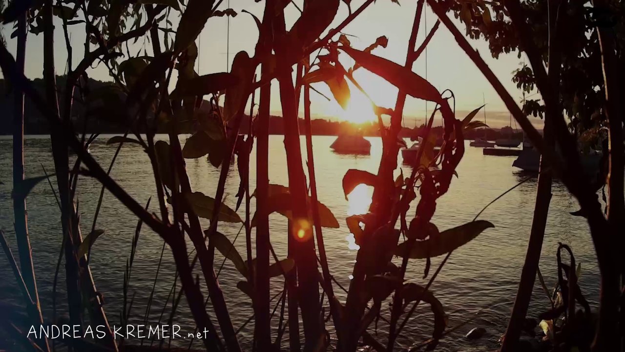 ANDREAS KREMER - URGESTEIN (ADK Acidhouse Remix) - Official Acid Video - Lifeform RECordings 48