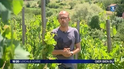 FRANCE 3 Loire - 1er juillet 2014