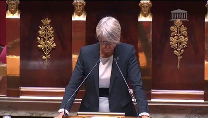 Véronique Massonneau - Discussion générale sur le projet de loi Accessibilité pour les personnes handicapées