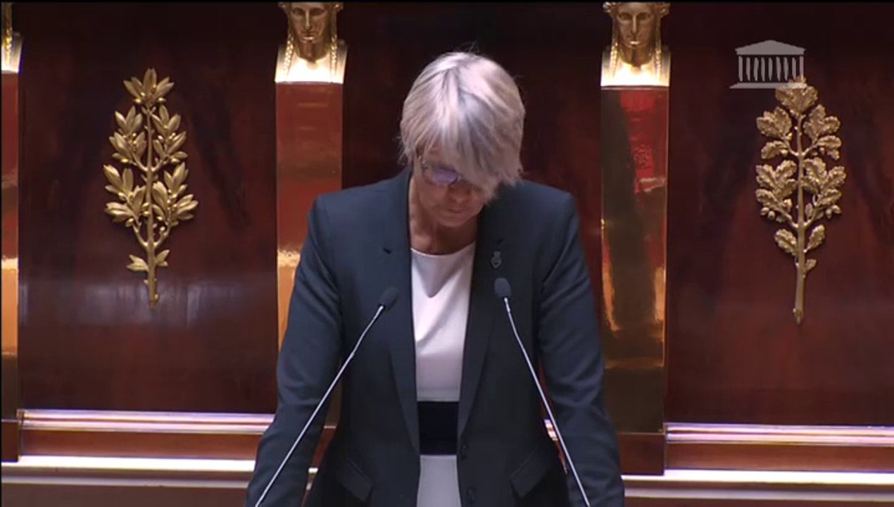 Véronique Massonneau - Encadrement des stages