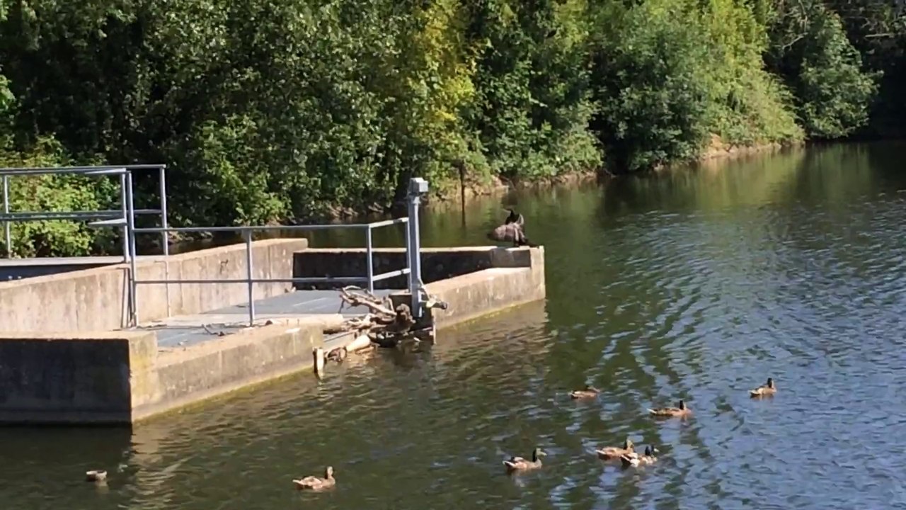 etemps du bois Rainier 49300 cholet de Dany ok ex